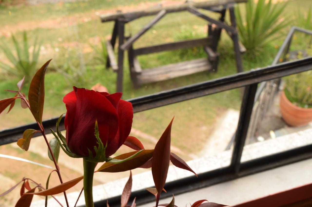 El Pedregal Sopo Bed & Breakfast Екстериор снимка