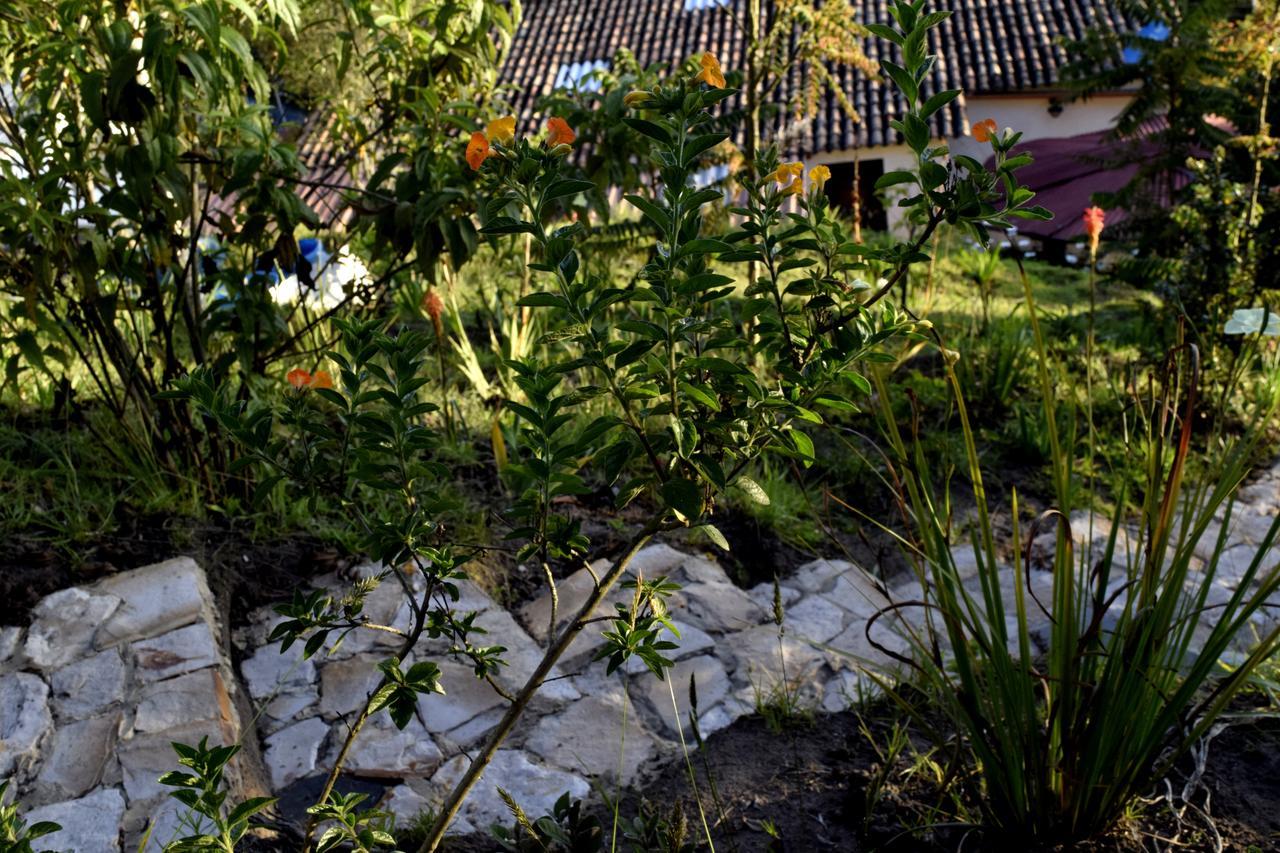 El Pedregal Sopo Bed & Breakfast Екстериор снимка