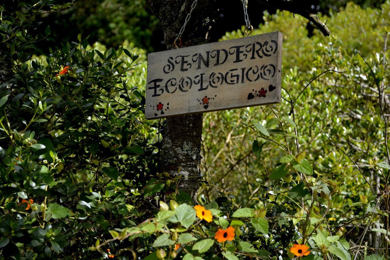 El Pedregal Sopo Bed & Breakfast Екстериор снимка